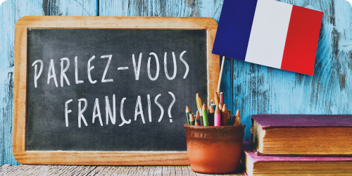 Деятельность учителя французского языка в условиях реализации ФГОС и профессионального стандарта "Педагог"