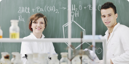 Педагогическое образование: учитель химии образовательной организации в условиях реализации ФГОС